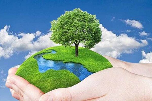 प्रकृति प्रेम है तो वन सेवा में जाइए