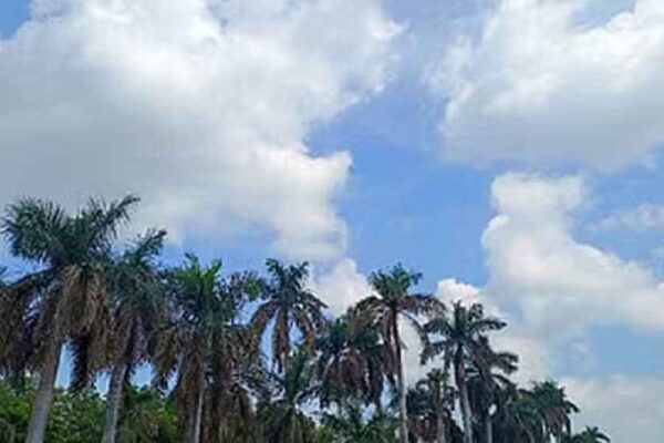 तीन डिग्री गिरेगा पारा, उत्तर भारत में शीतलहर के कारण फिर लौटेगी ठंड