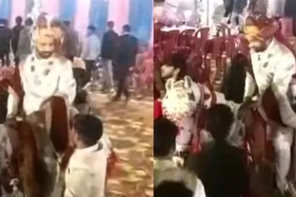 श्योपुर में दूल्हे को घोड़ी पर बैठे-बैठे पड़ा हार्ट अटैक, तत्काल मौत