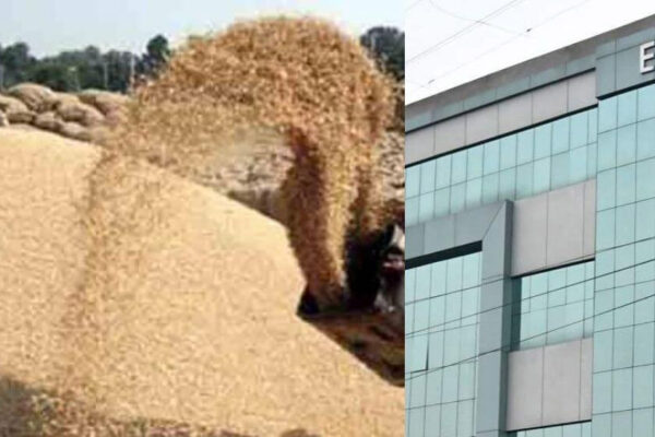 धान उपार्जन घोटाला EOW ने की छापेमारी, 145 व्यक्तियों पर की 38 FIR