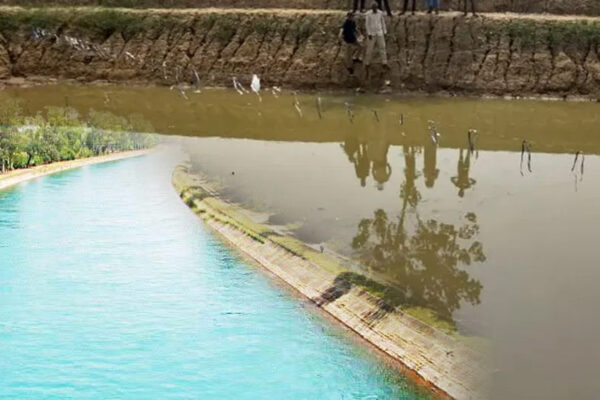 मध्यप्रदेश में 40 हजार km लंबी नहरें होंगी पक्की, पंचायतें बनाएंगी 1 लाख जलदूत