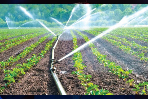 ग्वालियर चंबल में सिंचाई के लिए जल संकट, राजस्थान 1800 क्यूसेक पानी ही छोड़ रहा : मंत्री तुलसी सिलावट