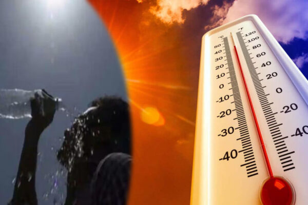 चढ़ते पारे ने बढ़ायी मुसीबत, 2024 सबसे गर्म वर्ष, टूटा 175 साल का रिकॉर्ड