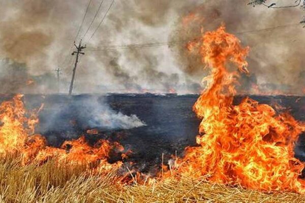 आगर मालवा में पराली जलाने वाले 770 किसानों पर 16.71 लाख रुपये का अर्थदंड