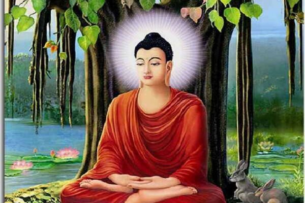 बुद्ध जयन्ती के दौरान आज मांस-मटन की बिक्री पूर्ण रूप से प्रतिबंधित रहेगी