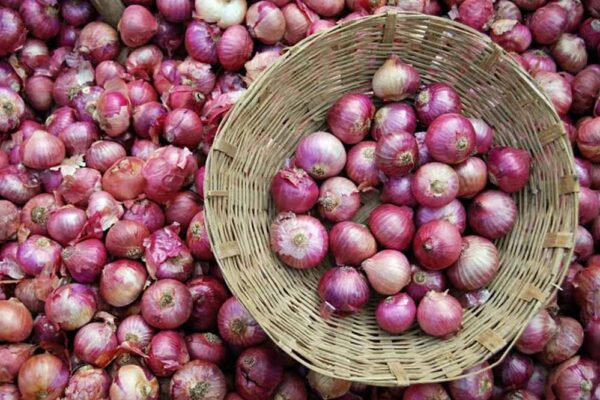 प्याज के भाव औंधे मुंह गिर जाने से किसानों की उम्मीदों पर पानी फिरा