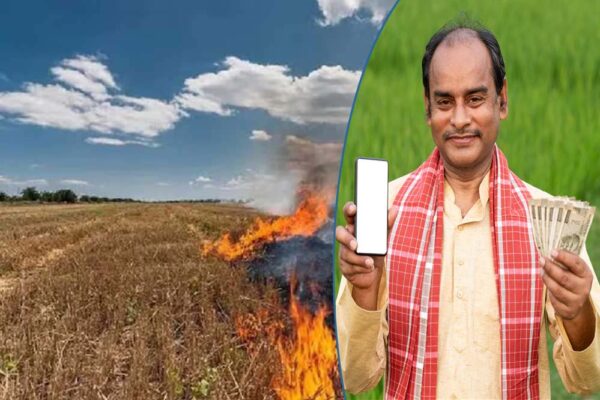किसानों को नरवाई जलाना पड़ा भारी, प्रदेश के 7 हजार किसानों को नहीं मिलेगी किसान सम्मान निधि