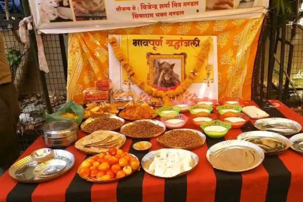 इंदौर में अब मृत जानवरों को गाड़ने की बजाय शव दाह करेंगे, नगर निगम की सराहनीय पहल