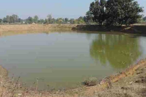 मध्यप्रदेश में जल क्रांति : पूरे राज्य में बड़े पैमाने पर खेत तालाब, डगवेल रिचार्ज और अमृत सरोवर बनाए जा रहे