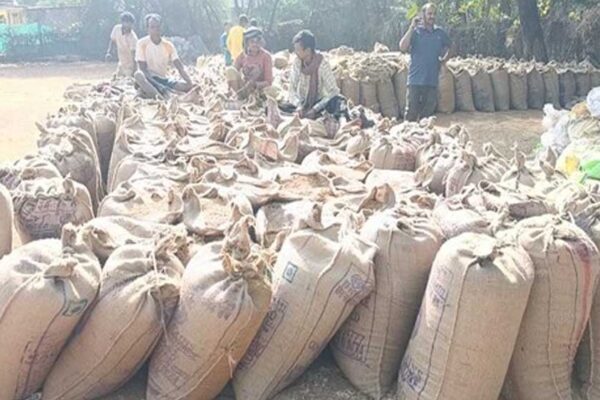 मैहर में प्रशासन की बड़ी कार्रवाई, 6526 क्विंटल की आर्थिक क्षति की वसूली, खरीदी प्रभारी के भू स्वामित्व की नीलामी कर वसूली जायेगी