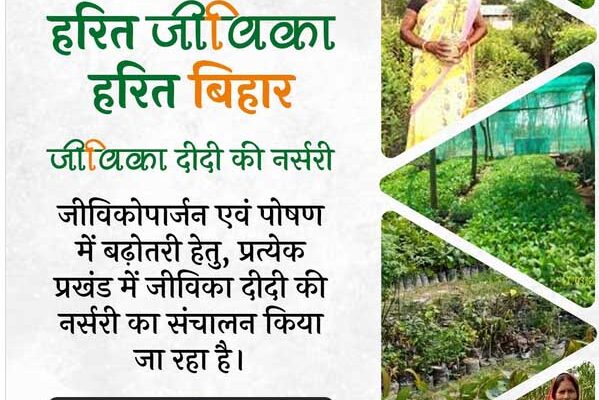 राज्य की हरियाली संवारने में अहम भूमिका निभा रही हैं जीविका दीदियां