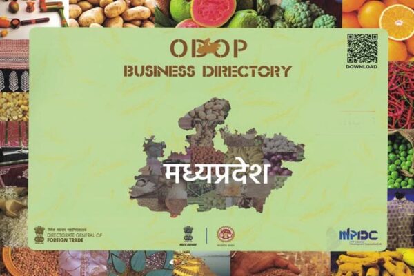शाकाहारी-मांसाहारी के बाद अब स्वदेशी सामान पर भी लगेगा चिन्ह, पहचान होगी आसान