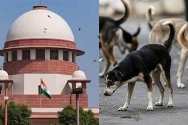 SC के फैसले पर खुश राहुल गांधी, लावारिस कुत्तों के लिए होंगे ये 2 लाभ