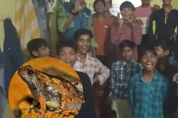 मध्य प्रदेश में हड़कंप! आदिवासी छात्रों की सब्जी में मिला मरा हुआ मेंढक