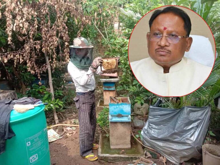 CG News: साय सरकार में कृषि विज्ञान केंद्र से लिया था प्रशिक्षण, खेती के साथ मधुमक्खी पालन बनीं उदय राम की रोजगार की कुंजी