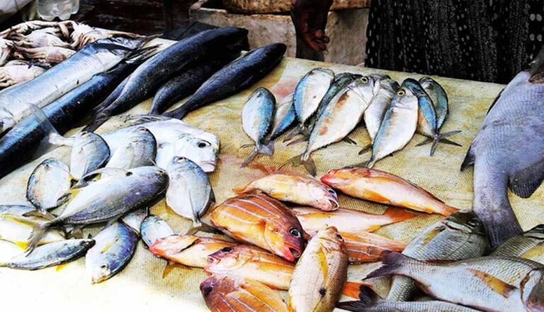 गणतंत्र दिवस से पहले बदला निर्णय: कोरापुट प्रशासन ने मांस बिक्री प्रतिबंध आदेश किया रद्द