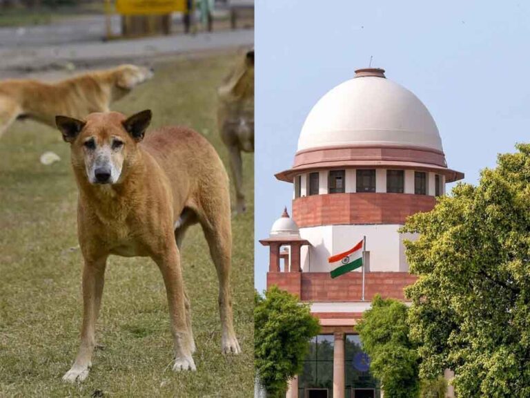 कुत्तों को लेकर फैली गलतफहमी पर विराम, सुप्रीम कोर्ट ने कहा– ऐसा कोई आदेश नहीं