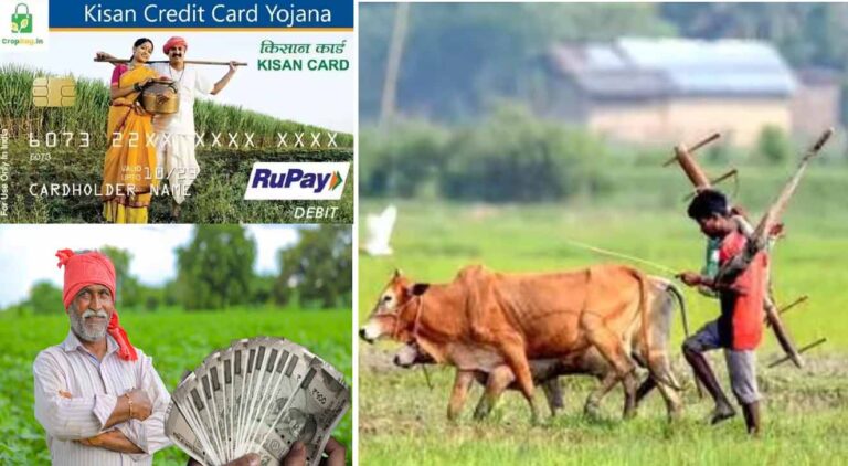 बिचौलियों से मिलेगी मुक्ति, अब ‘फार्मर रजिस्ट्री’ से PM-Kisan और KCC लोन मिलना होगा आसान