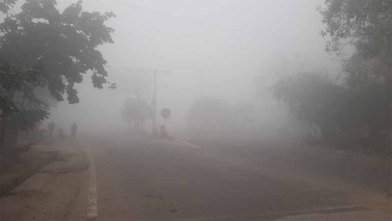 पंजाब में यातायात प्रभावित होने की आशंका, हल्की वर्षा के बाद बढ़ा घना कोहरा