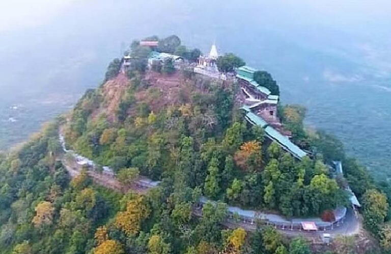 मैहर पालिका क्षेत्र में मांस, मछली और अंडे पर प्रतिबंध, प्रशासन ने शुरू की सख्ती