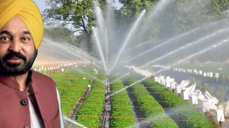 पंजाब में नहर सिंचाई का आंकड़ा 78 प्रतिशत, सीएम भगवंत मान ने बताया महत्वपूर्ण सुधार