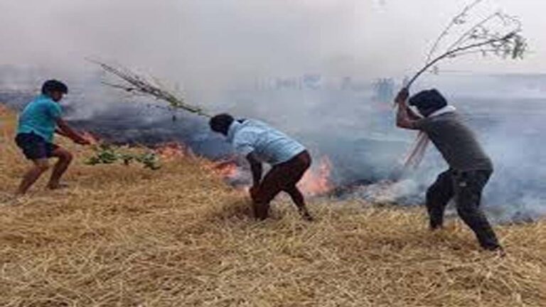 खलिहानों में आगजनी से बचाव के लिए कृषि विभाग ने किया किसानों से आग्रह