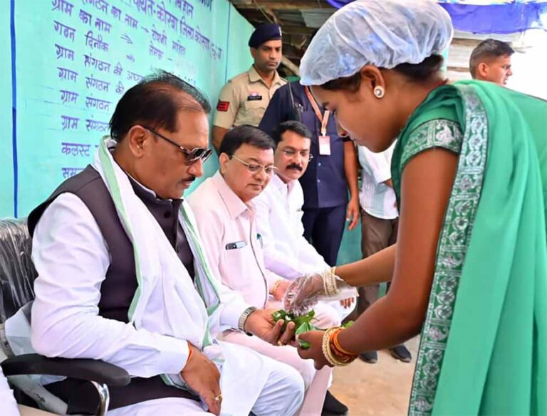 लखपति दीदी योजना से मिली नई उड़ान, छोटे व्यवसाय से बढ़ा आत्मविश्वास और आजीविका