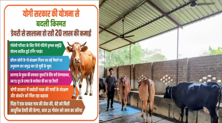सीएम योगी के गो संरक्षण मिशन का बड़े पैमाने पर अनुसरण कर समृद्ध बन रहे यूपी का युवा